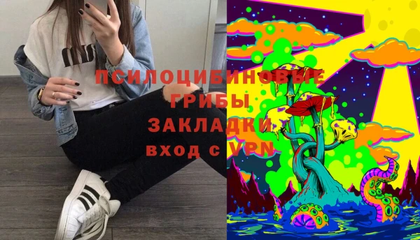 сатива Алексеевка