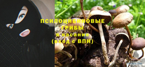 a pvp Арсеньев